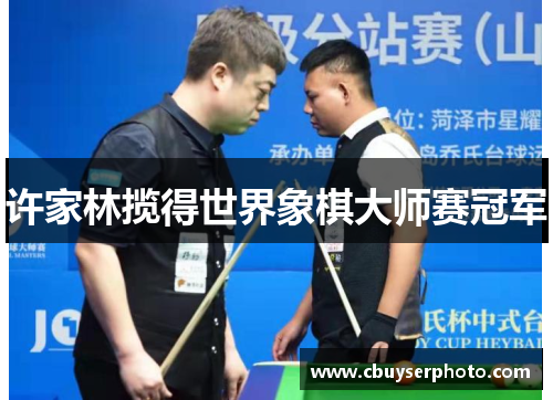 许家林揽得世界象棋大师赛冠军